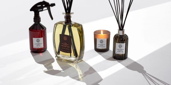 131111439_1243851499347607_4657310641001624300_n